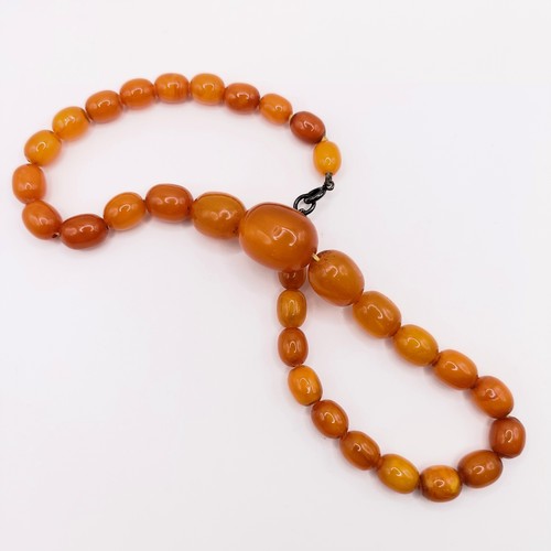 412 - A butterscotch amber bead necklace, 24.7 g