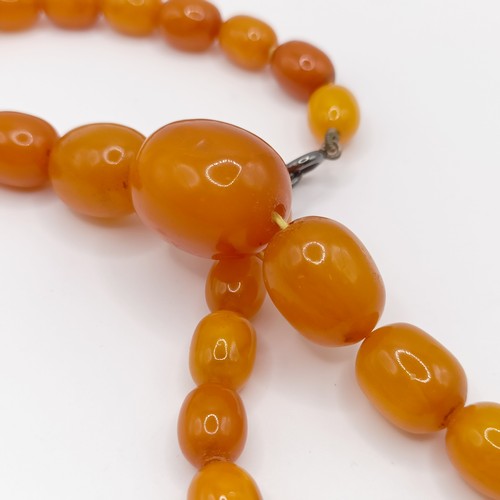 412 - A butterscotch amber bead necklace, 24.7 g