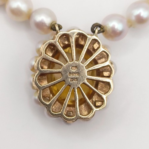 435 - A cultured pearl double necklace, with a 9ct gold and citrine clasp