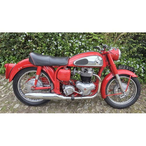 Lot 55        