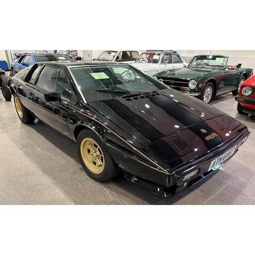 Lot 28        
