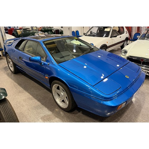 Lot 27        