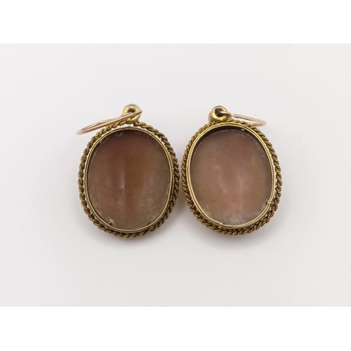 642 - A pair of Victorian carved shell oval cameo earrings, boxed
