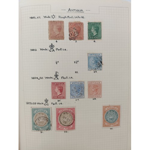 Lot 200       