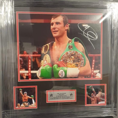 1642 - Joe Calzaghe Signed And Framed Display Certificate of Authenticity