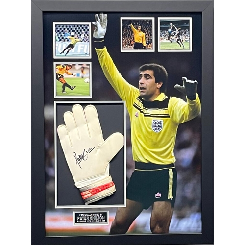 1721 - Peter Shilton Signed And Framed Glove In A England Display Coa