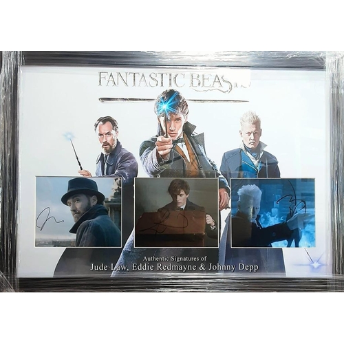 1710 - Fantastics Beasts Triple Signed And Framed Display By Jude Law, Eddie Redmayne, Johnny Depp