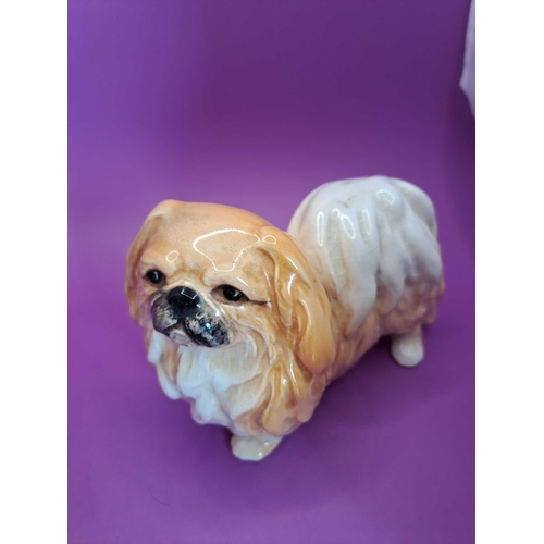 541 - A collection of porcelain dogs designers in pictures