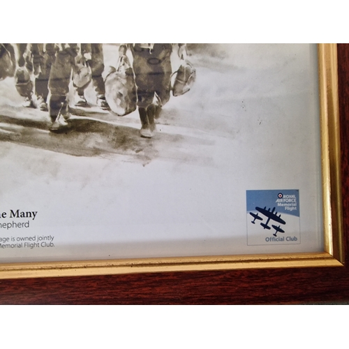 583 - Salute To The Many By Mandy Shepherd Royal Air Force Memorial Flight Print In A Light Wooden  Gold F... 