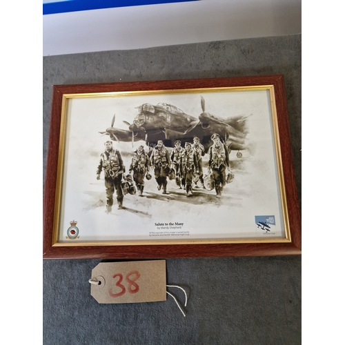 583 - Salute To The Many By Mandy Shepherd Royal Air Force Memorial Flight Print In A Light Wooden  Gold F... 