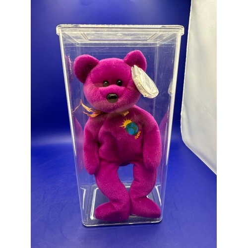 15 - TY Beanie Baby Bear Millennium DOB 1/1/1999 in Perspex Case