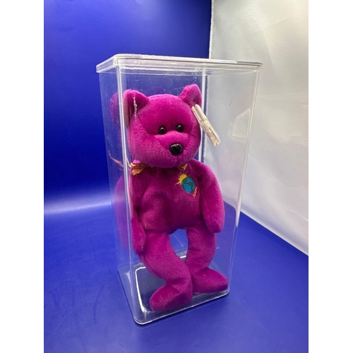 15 - TY Beanie Baby Bear Millennium DOB 1/1/1999 in Perspex Case