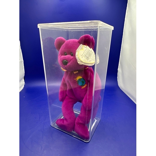 15 - TY Beanie Baby Bear Millennium DOB 1/1/1999 in Perspex Case