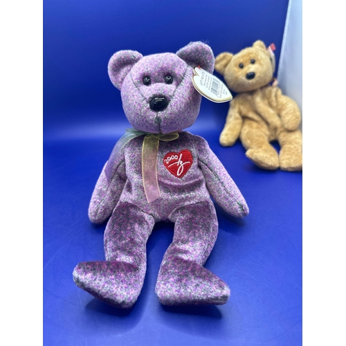 22 - 7 x Ty Beanie Baby Bears with tags. Cashew 2000, 2000 signature bear, 1999 signature bear Wallace 19... 