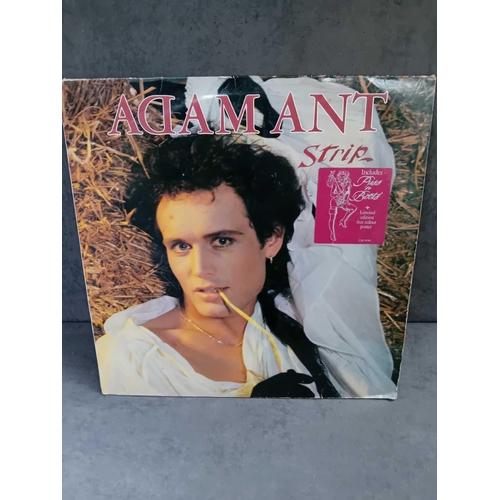 393 - 3 x Adam and the ants vinyls as pictured