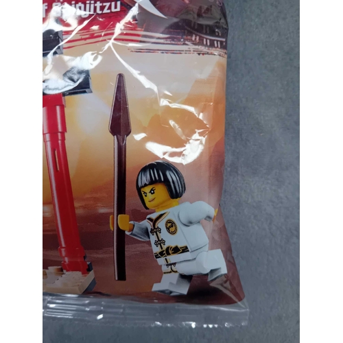 510 - Lego Ninjago Master of Spinjitzu 30530 new sealed polly bag