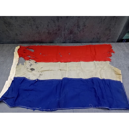 Lot 51        