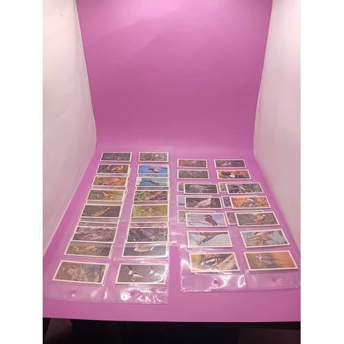 351 - Cigarette Cards Craven Black Cat British birds Complete Series of 50 as pictured&nbsp;