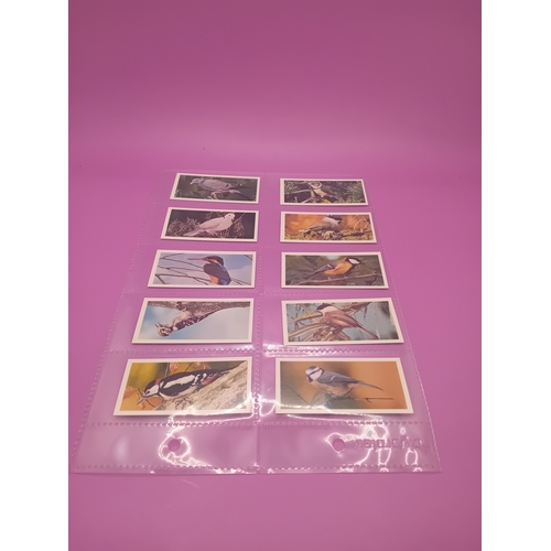 351 - Cigarette Cards Craven Black Cat British birds Complete Series of 50 as pictured&nbsp;