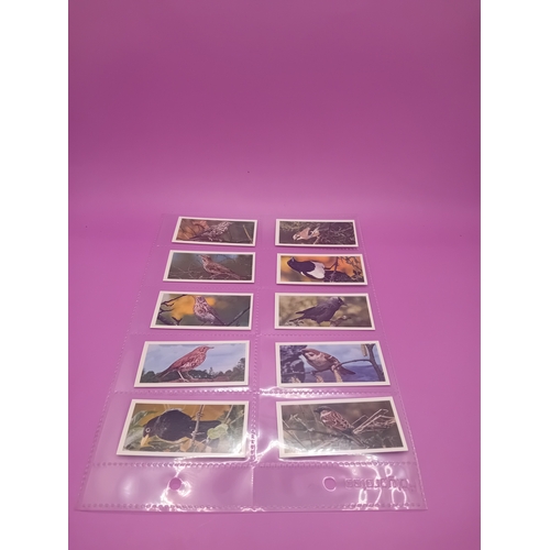 351 - Cigarette Cards Craven Black Cat British birds Complete Series of 50 as pictured&nbsp;