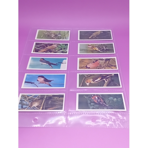 351 - Cigarette Cards Craven Black Cat British birds Complete Series of 50 as pictured&nbsp;