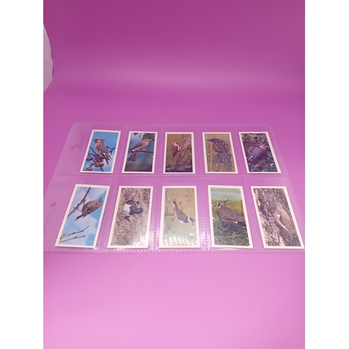 351 - Cigarette Cards Craven Black Cat British birds Complete Series of 50 as pictured&nbsp;