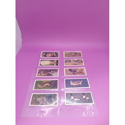 351 - Cigarette Cards Craven Black Cat British birds Complete Series of 50 as pictured&nbsp;