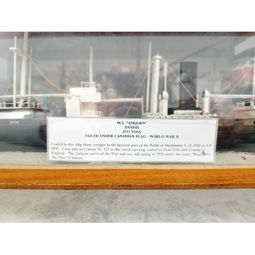 212 - Model of the M.S Asbjorn Danish 4733 tons sailed under Canadian flag world war 2 in glass display ca... 