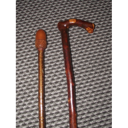 109 - 2x Hawthorne style vintage walking sticks. One with carved knurled wood handle and the other with a ... 