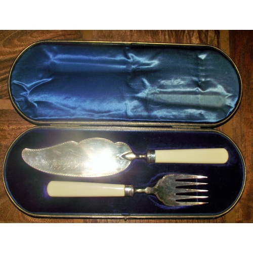 47 - CASED VICTORIAN heavy FISH SLICE AND SERVING FORK WITH STERLING SILVER BLADE AND TINES Sheffield, 19... 