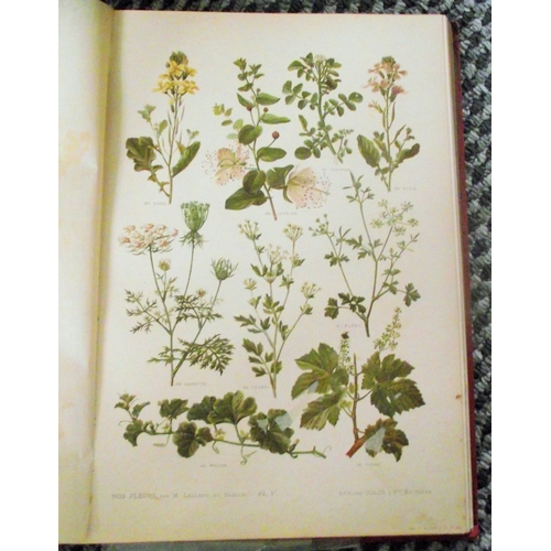 68 - BOTANY] LECLERC DU SABLON - Our flowers, useful and harmful plants - Paris Armand Colin et Cie SD - ... 