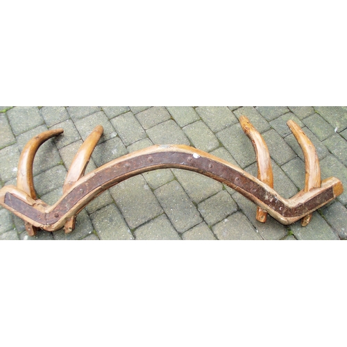 Lot 53        