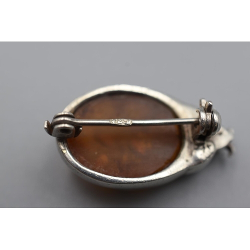 53 - Hallmarked Silver Amber Insect Brooch Complete with Presentation Box