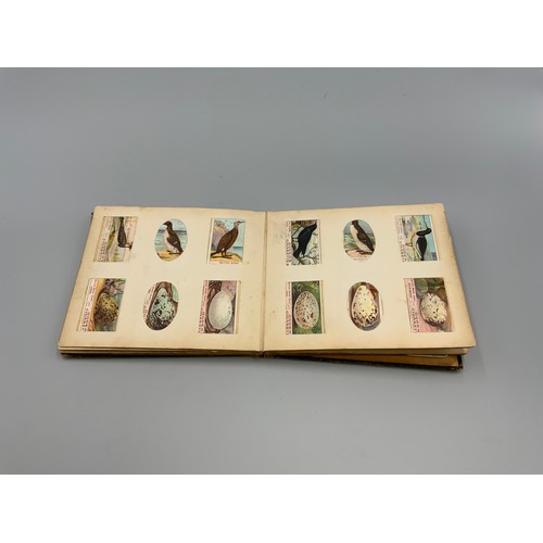 102a - Selection of Cigarette Cards and Tea Cards displayed in Albums including Ogden's British Birds, Will... 