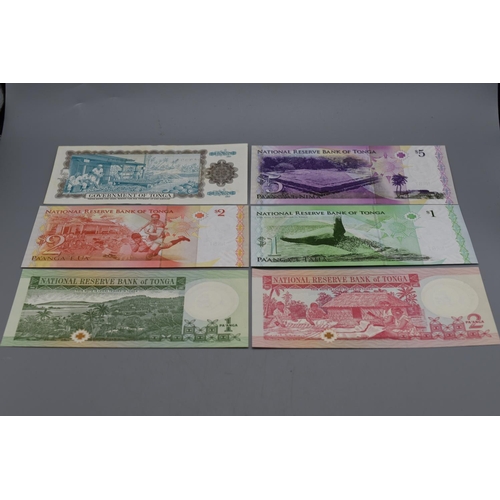 69 - Collection of Bank Notes From Tonga