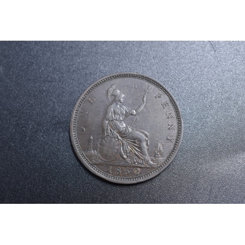 Lot 20        