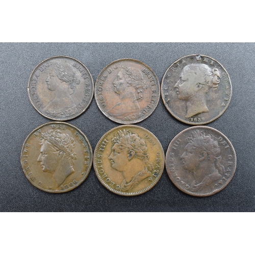 Lot 20        