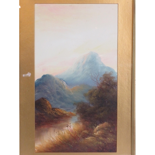 560 - British School (c.1880/1920) - 'Mountainous River Landscapes', a pair, oils, 45cm x 25cm, inset orna... 