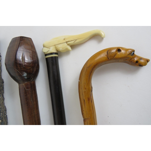 101 - A selection of sticks and canes including an antique  ivory and ebony elephant, dog's head, Eastern ... 