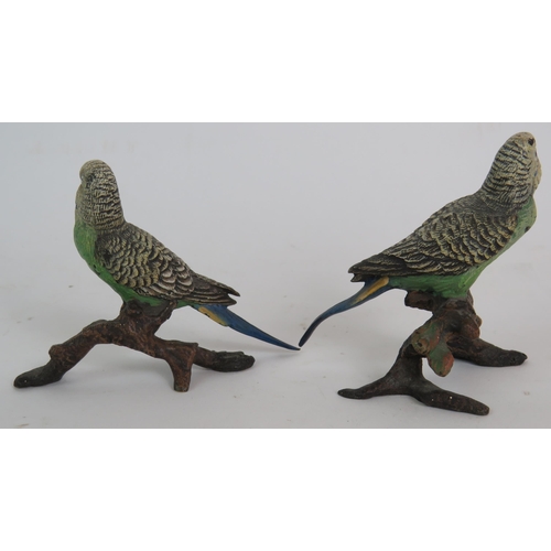 13 - Two early 20th Century cold painted bronze budgerigars in the style of Franz Bergman. Tallest 8.2cm.... 