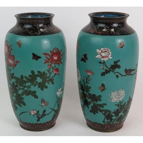 132 - A pair of Japanese Cloisonne vases of baluster form depicting chrysanthemums birds and insects on a ... 