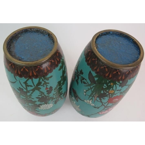 132 - A pair of Japanese Cloisonne vases of baluster form depicting chrysanthemums birds and insects on a ... 