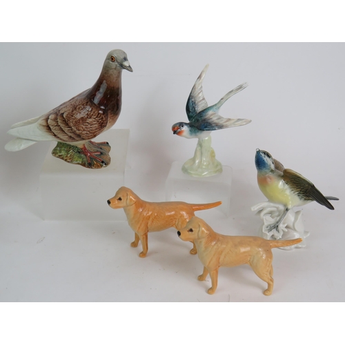 153 - Two Beswick pottery Labradors, a Beswick pigeon, 2 Crown Staffordshire birds, two Poole pottery figu... 