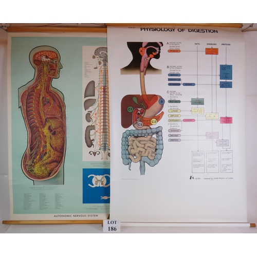 186 - Two medical teaching diagrams by Adam Rouilly, The Physiology of Digestion (1970) and Autonomic Nerv... 