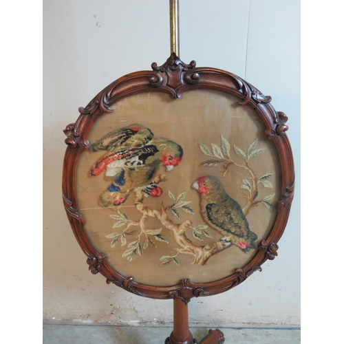 761 - A Victorian rosewood pole screen with a tapestry & wool work panel depicting exotic birds, raised on... 