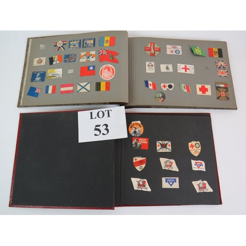 53 - Two albums containing a fascinating collection of charity flag day flags including many WWI and WW2 ... 