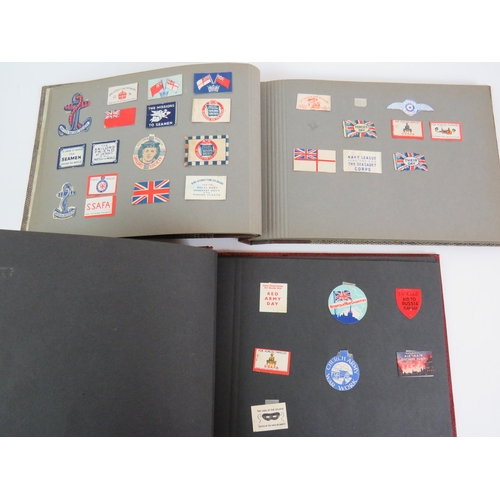 53 - Two albums containing a fascinating collection of charity flag day flags including many WWI and WW2 ... 