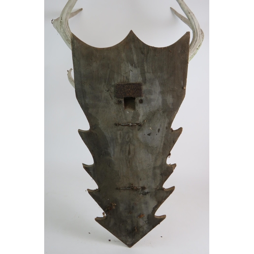 95 - A mounted stag's skull and antlers on oak arrowhead plaque, nicely weathered. Overall height 85cm. C... 