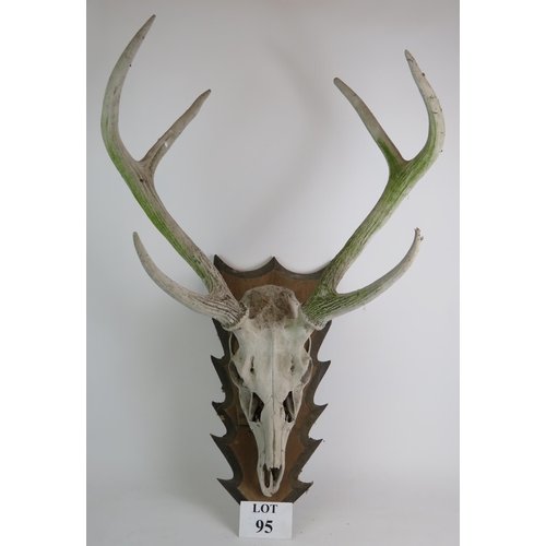 95 - A mounted stag's skull and antlers on oak arrowhead plaque, nicely weathered. Overall height 85cm. C... 