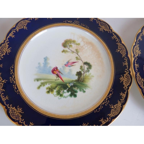 106 - Eight Coalport plates with hand painted game bird decoration and cobalt blue and gilt borders plus t... 